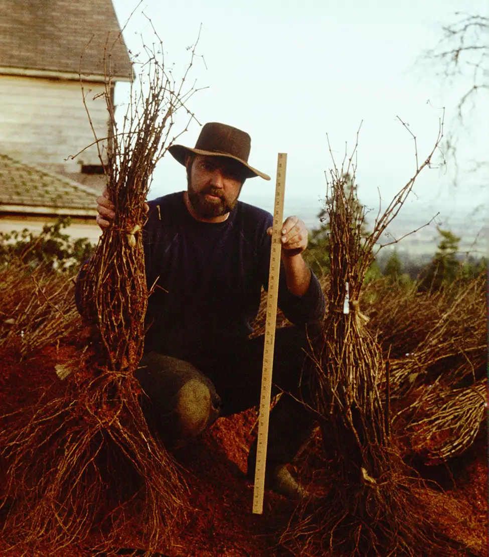 Farmer harvesting crops in fall.