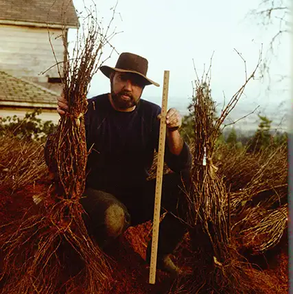 Farmer standing in a vineyard in fall.