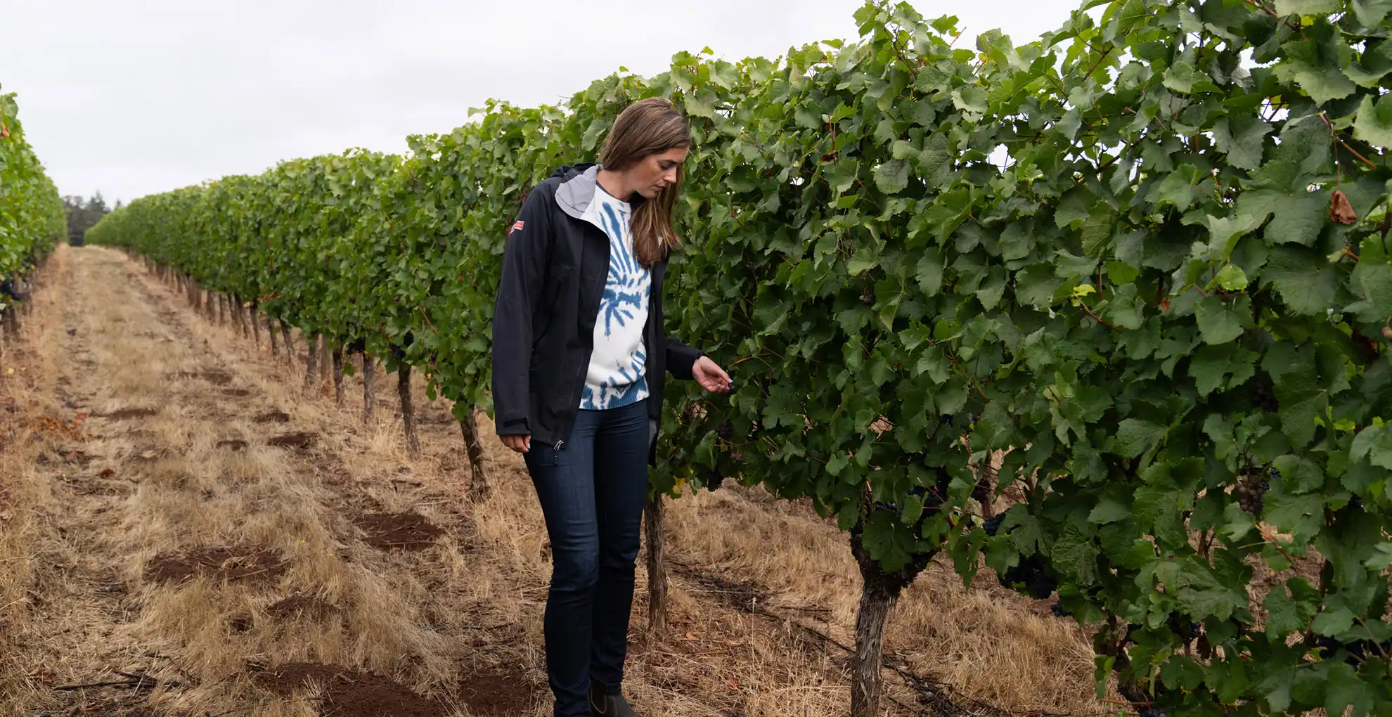 head winemaker leah looking at grapes in the vineyard
